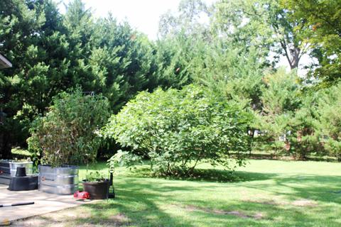 209 E 7th St, West Point, GA 31833 photo 82