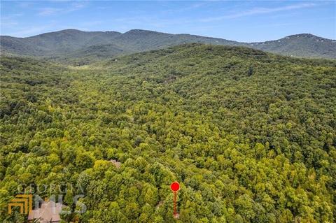 60 Red Maple Ln, Jasper, GA 30143 photo 37