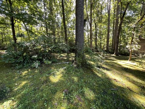 280 South Dr, Hampton, GA 30228 photo 53