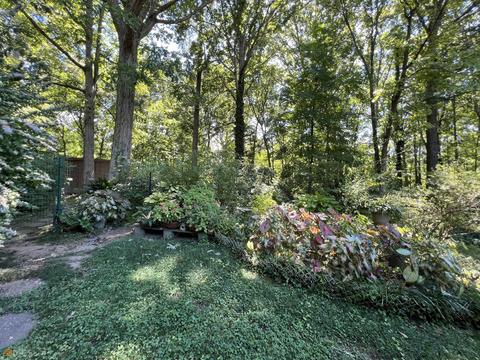 280 South Dr, Hampton, GA 30228 photo 48