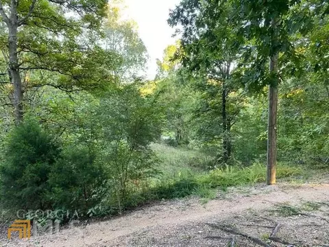 39 Nally Rd, Rydal, GA 30171 photo 9