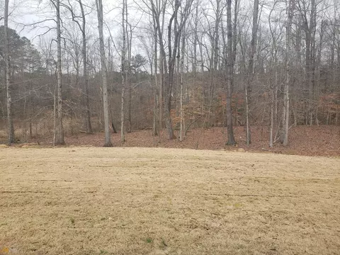 176 Grafton St, Hampton, GA 30228 photo 34