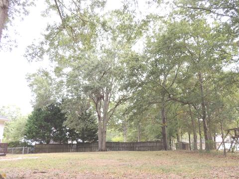 360 Redbud Dr, Barnesville, GA 30204 photo 35