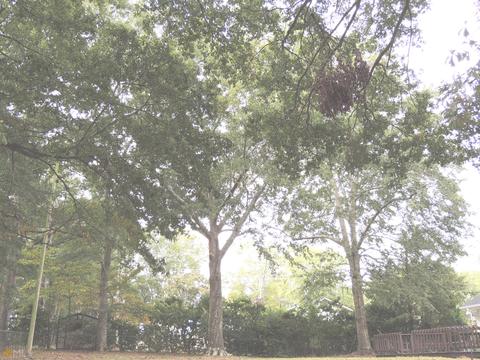 360 Redbud Dr, Barnesville, GA 30204 photo 36