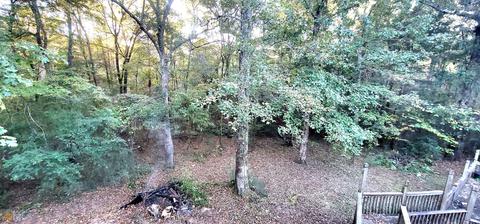 411 Bypass Rd, Barnesville, GA 30204 photo 50