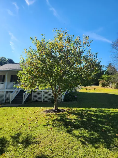 18 Ginger Dr, Jasper, GA 30143 photo 28