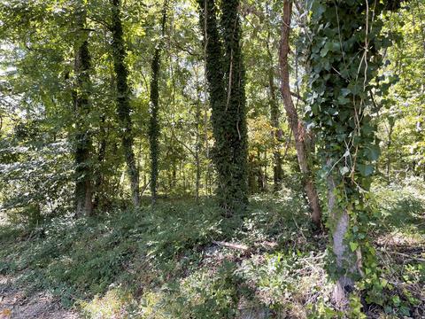 3832 Erwin, Gainesville, GA 30506 photo 2