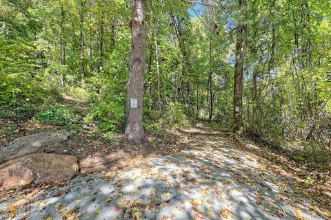 386 Frontier Rd, Tiger, GA 30576 photo 10