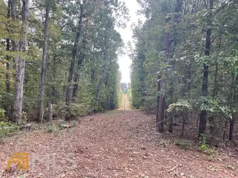 35 Blair Rd, Modoc, SC 29838 photo 11