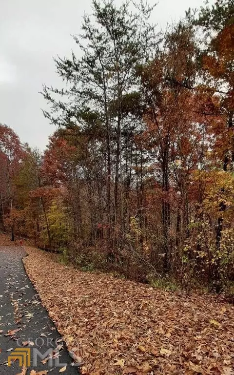 0 Owen Glen Dr #177, Blairsville, GA 30512