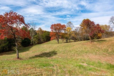 100 Winston Rd, Fairmount, GA 30139 photo 36