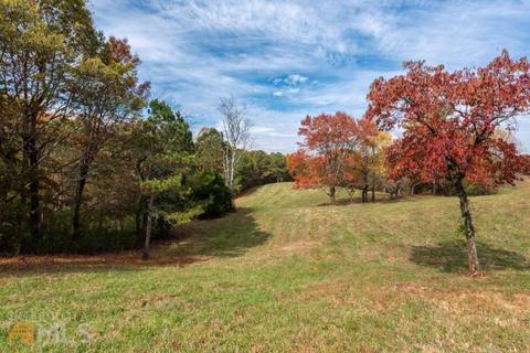 100 Winston Rd, Fairmount, GA 30139 photo 39
