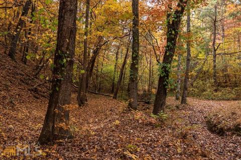 100 Winston Rd, Fairmount, GA 30139 photo 27