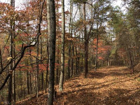 100 Winston Rd, Fairmount, GA 30139 photo 42