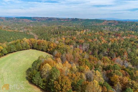 100 Winston Rd, Fairmount, GA 30139 photo 19