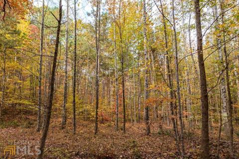100 Winston Rd, Fairmount, GA 30139 photo 29