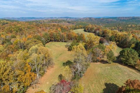 100 Winston Rd, Fairmount, GA 30139 photo 3