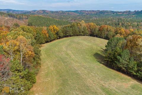 100 Winston Rd, Fairmount, GA 30139 photo 14