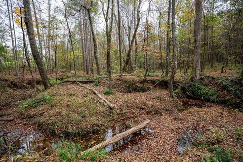 407 Jasmine Cir, Lagrange, GA 30241 photo 36