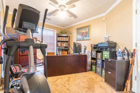 10668 Paladin Dr, Hampton, GA 30228 photo 19