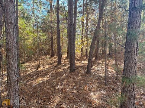 845 Smith Chapel Rd, Bowdon, GA 30108 photo 3