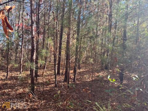845 Smith Chapel Rd, Bowdon, GA 30108 photo 6