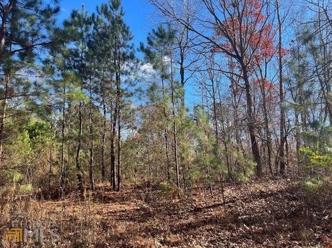 845 Smith Chapel Rd, Bowdon, GA 30108 photo 7