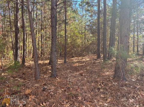845 Smith Chapel Rd, Bowdon, GA 30108 photo 2
