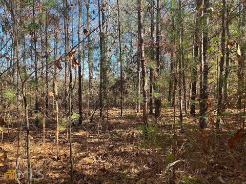 845 Smith Chapel Rd, Bowdon, GA 30108 photo 5