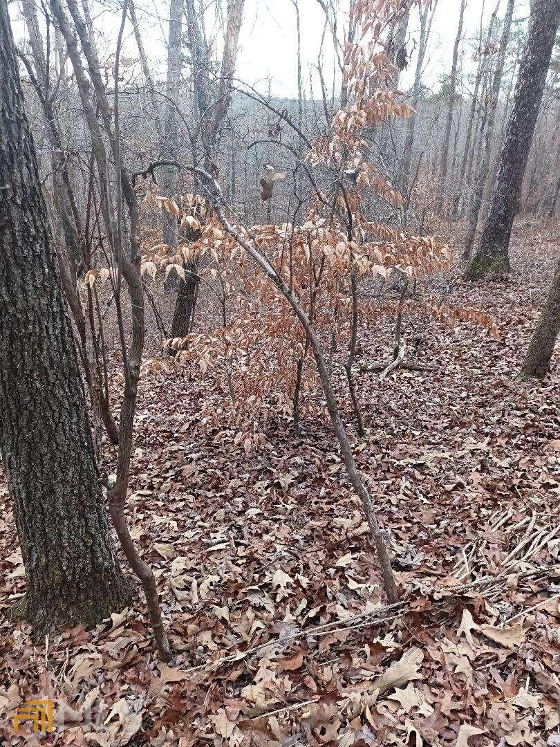 13 Olivia Ln Unit 13