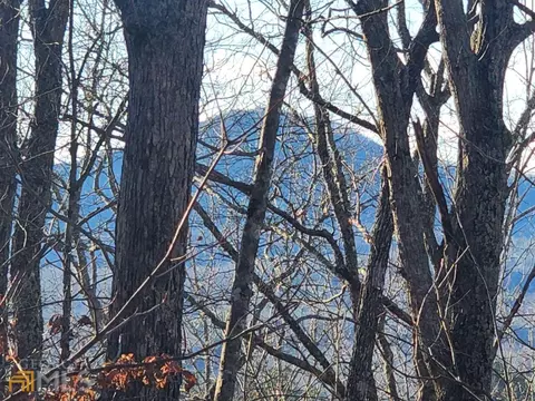 7 Timber Bnd # F, Blairsville, GA 30512