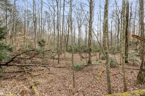 588 Windridge Rd, Clarkesville, GA 30523 photo 75
