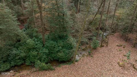 588 Windridge Rd, Clarkesville, GA 30523 photo 87