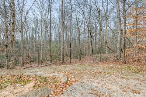 588 Windridge Rd, Clarkesville, GA 30523 photo 63