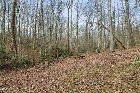 588 Windridge Rd, Clarkesville, GA 30523 photo 73
