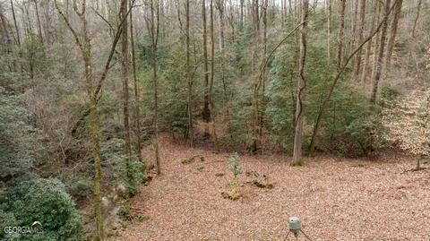 588 Windridge Rd, Clarkesville, GA 30523 photo 90