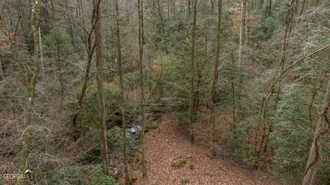 588 Windridge Rd, Clarkesville, GA 30523 photo 88