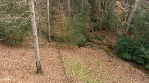 588 Windridge Rd, Clarkesville, GA 30523 photo 86