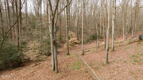 588 Windridge Rd, Clarkesville, GA 30523 photo 89