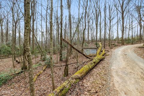 588 Windridge Rd, Clarkesville, GA 30523 photo 77
