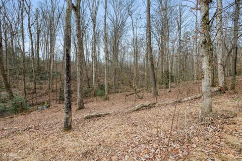 588 Windridge Rd, Clarkesville, GA 30523 photo 64