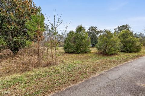 588 Windridge Rd, Clarkesville, GA 30523 photo 78