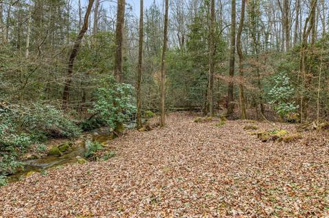 588 Windridge Rd, Clarkesville, GA 30523 photo 68