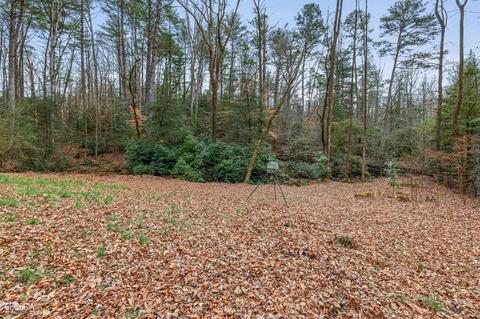 588 Windridge Rd, Clarkesville, GA 30523 photo 67
