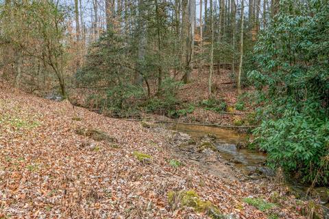 588 Windridge Rd, Clarkesville, GA 30523 photo 71
