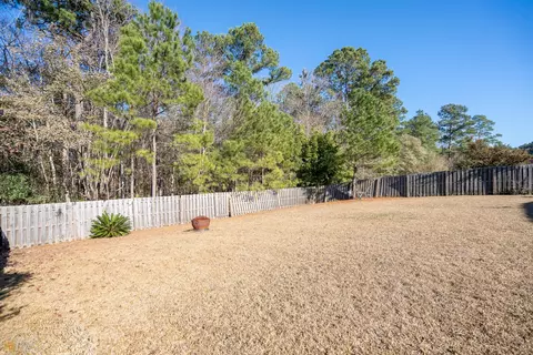 262 Pampas Dr, Pooler, GA 31322 photo 20