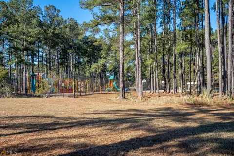 262 Pampas Dr, Pooler, GA 31322 photo 26