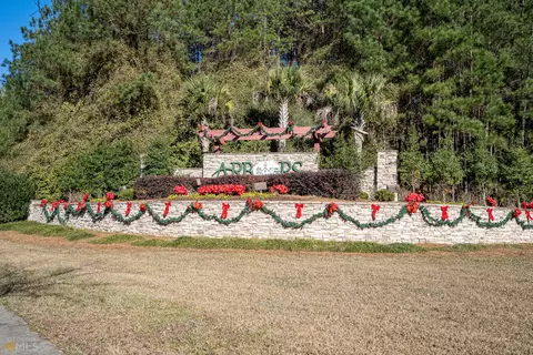 262 Pampas Dr, Pooler, GA 31322 photo 24