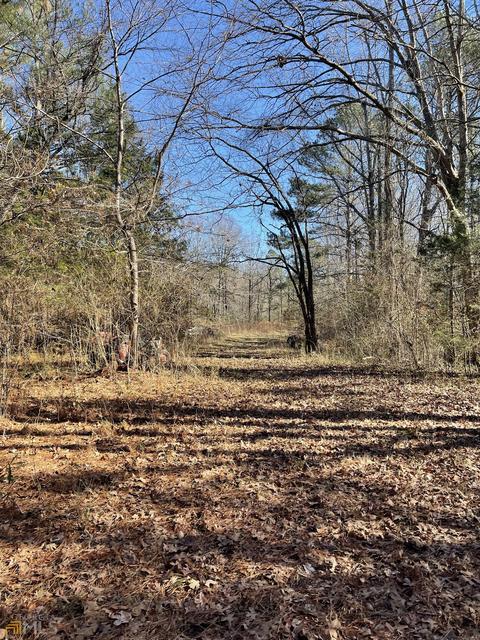1178 N Pomona Rd, Hampton, GA 30228 photo 6