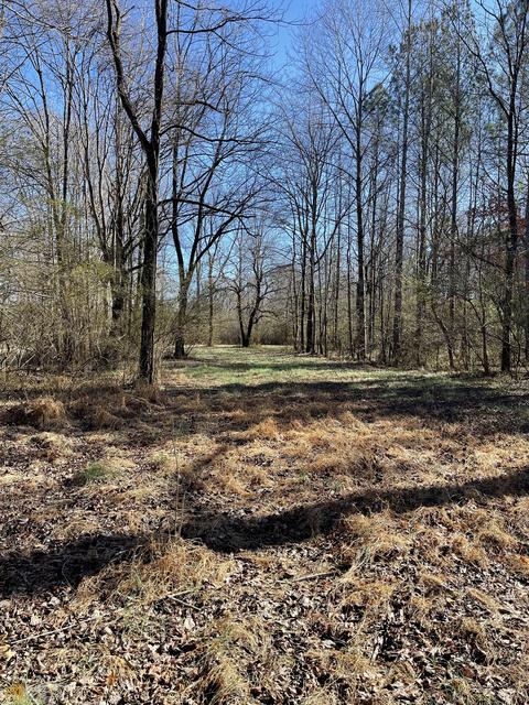1178 N Pomona Rd, Hampton, GA 30228 photo 7